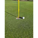 Skinny Flaggstång, Par Aide